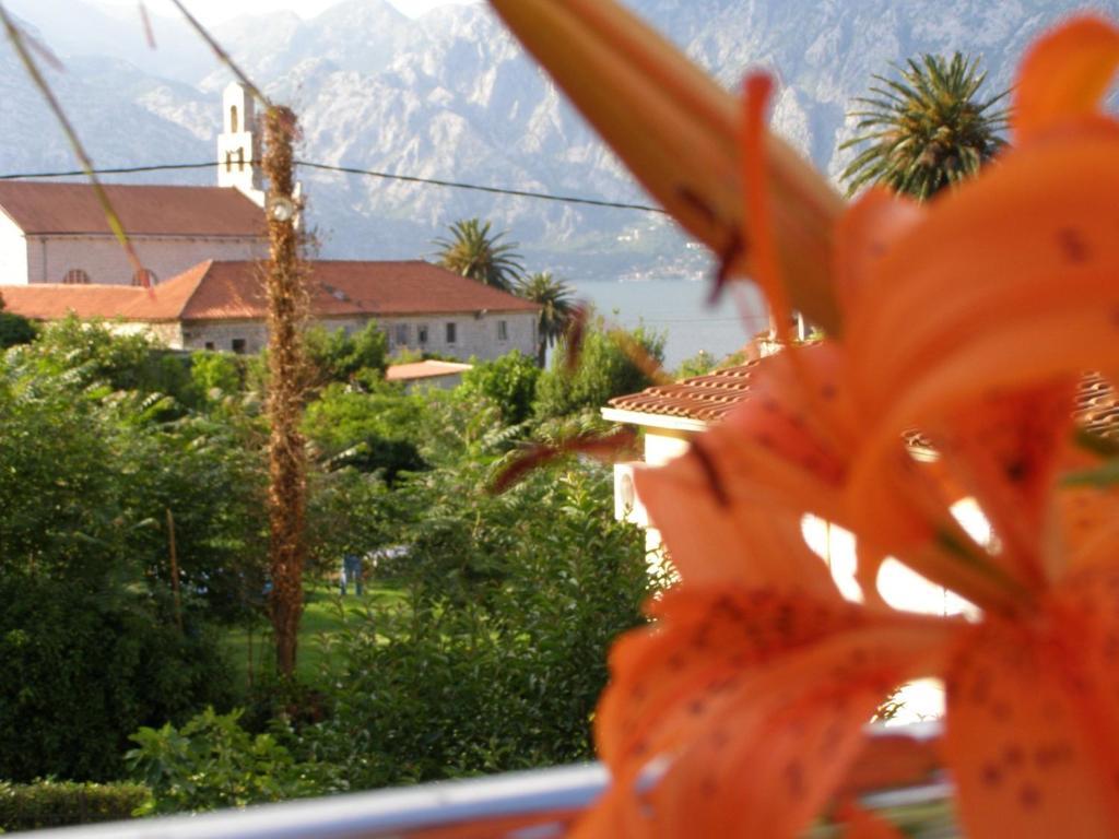 Djurovic Apartments Montenegro Κότορ Δωμάτιο φωτογραφία