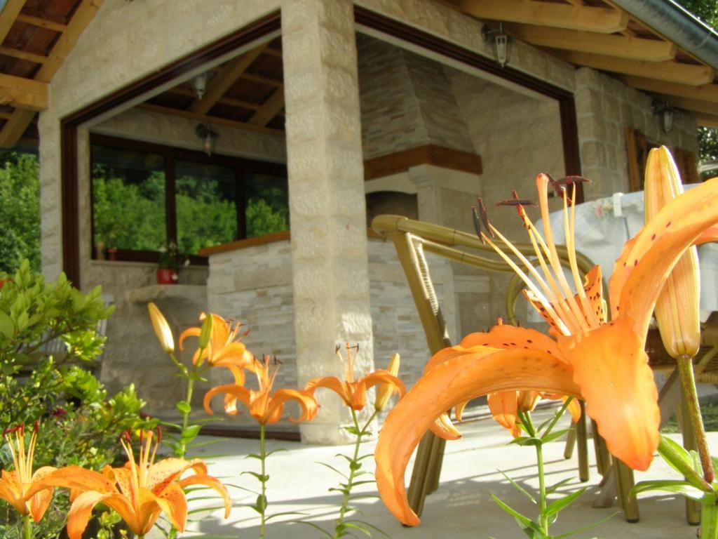 Djurovic Apartments Montenegro Κότορ Δωμάτιο φωτογραφία